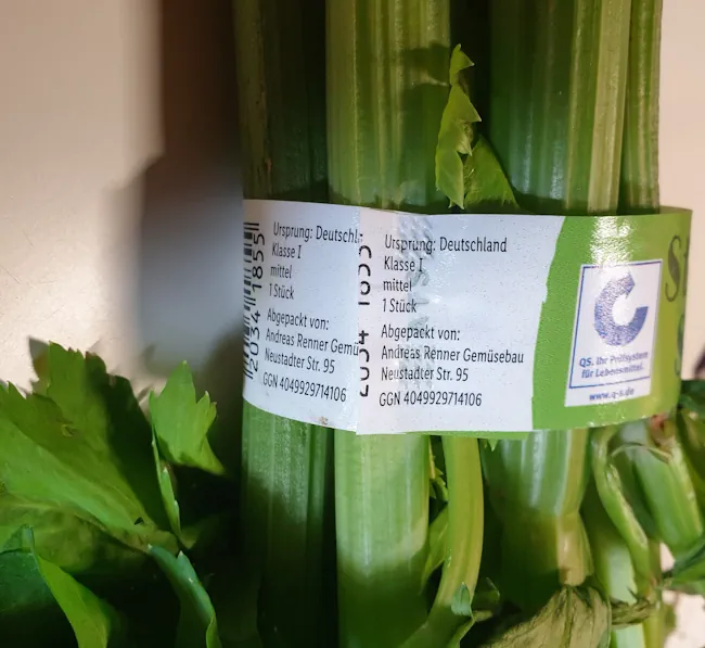 Celery, Staudensellerie 20260606_163855.webp
