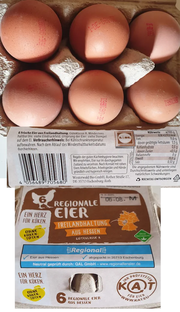 eggs 20260720_110746.webp
