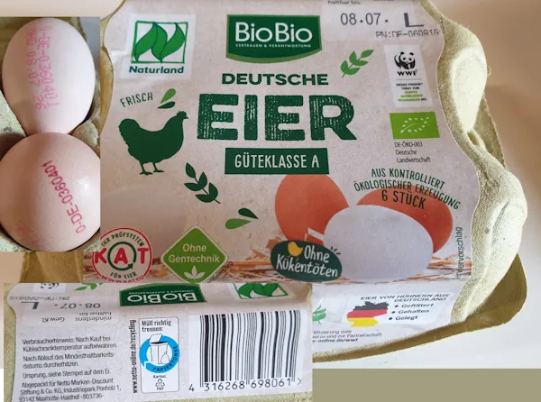 Eggs 20260623_161815.webp