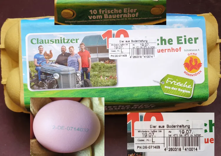 eggs 20260630_164621.webp