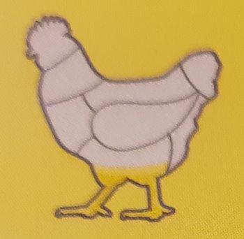 Hanchen-Unterkeulen-Chicken-Hanchen.jpg