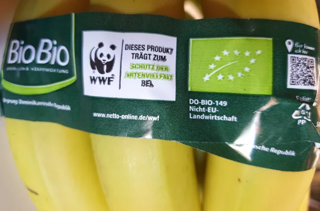 bananas 20260613_164606.webp