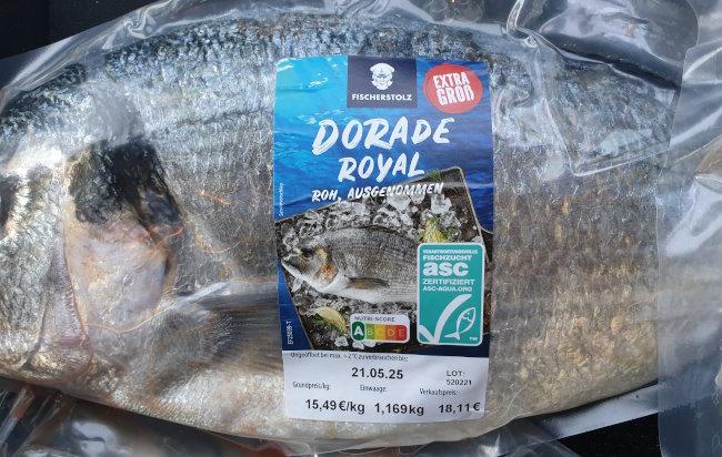 Dorade-Royal-Gilt-head-bream-Sparus-ExtraGros-Fischerstolz-c.jpg