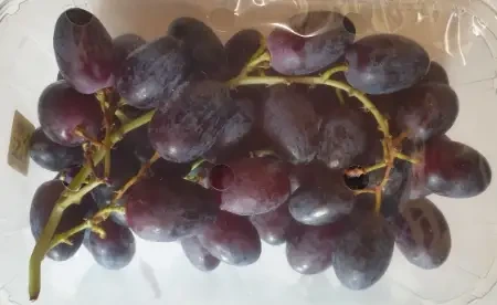 20260720_111534-edited.webp