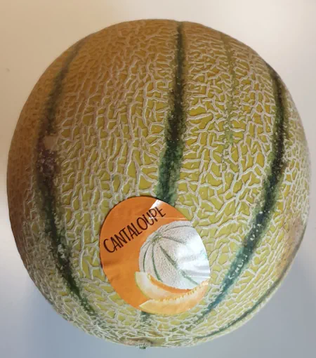 Cantaloupe 20260729_163719.webp