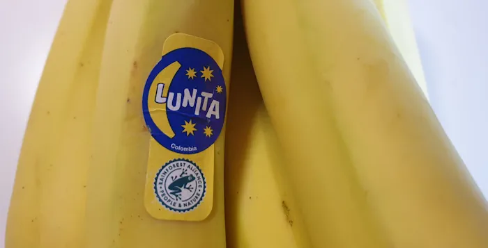 bananas 20260606_160844.webp