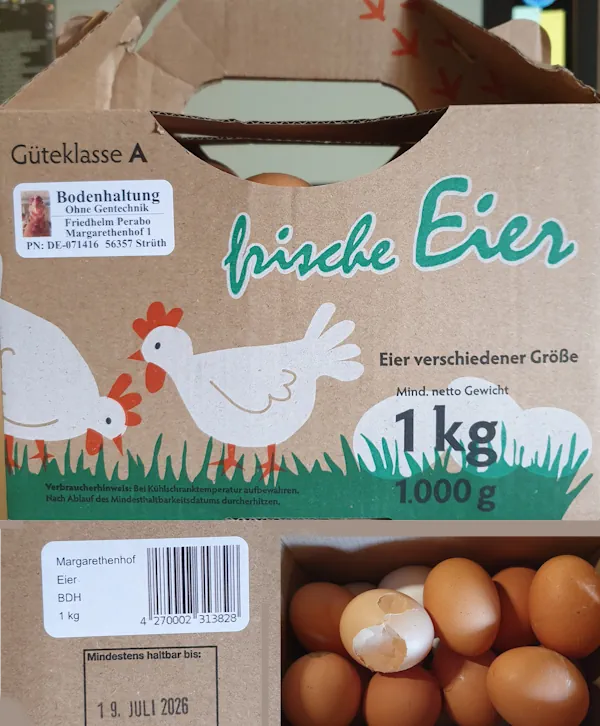 Eggs 20260704_134354.webp