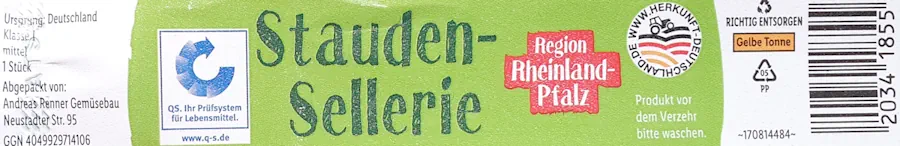 Stauden Sellerie 20260608_161249.webp