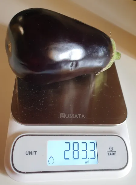 Eggplants - Auberginen 20260909_120009.webp