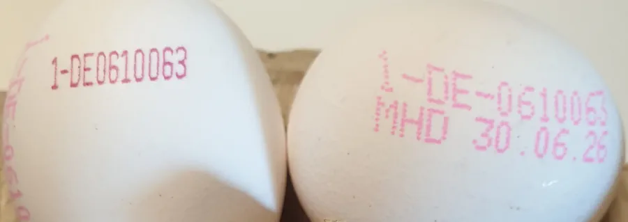 Eggs 20260620_125333.webp