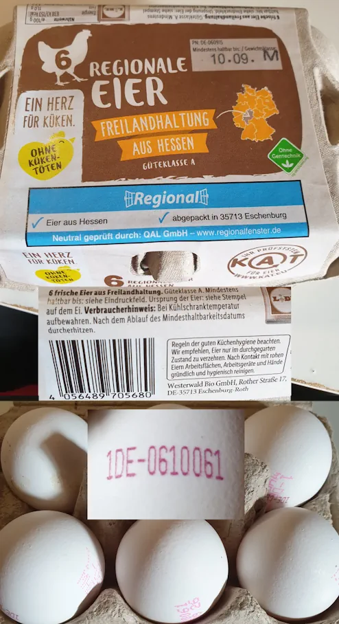 Eggs 20260902_101818.webp