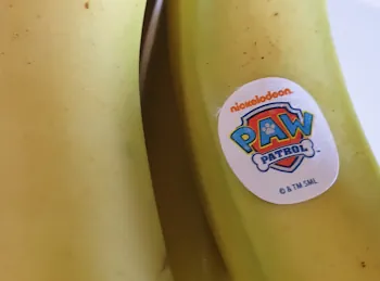 bananas 20260819_154350.webp