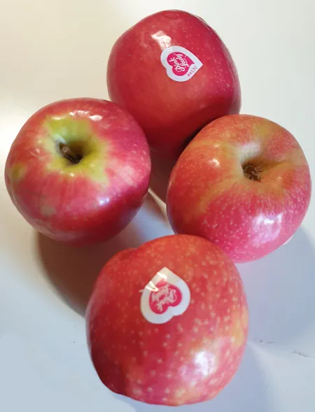 apples 20260613_170003.webp