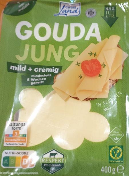 Guda-Jung-Sliced-Gutes-Land.jpg