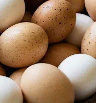 Eggs - generic