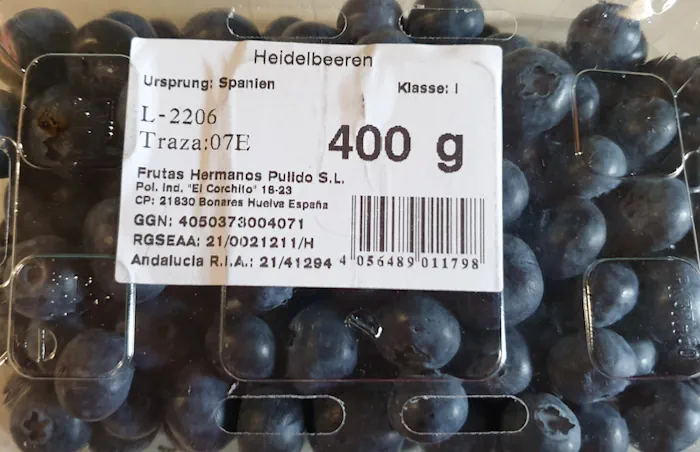 heidelbeeren 20260606_165309.webp