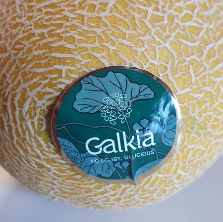 Cantaloupe Melone 20260711_122942.webp