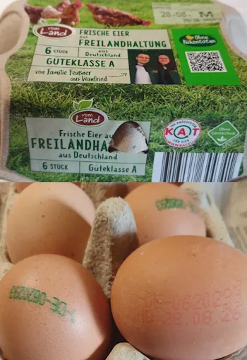 eggs 20260815_183919.webp
