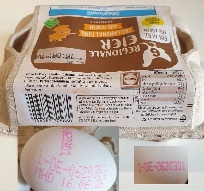 eggs 20260606_170256.webp