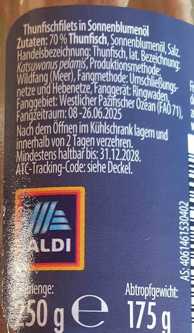 thunfisch 20260623_094841.webp