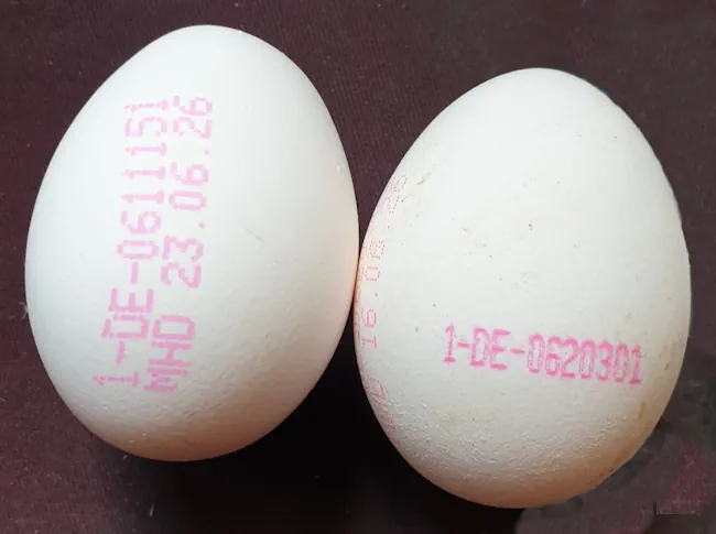 eier eggs 20260609_132400.webp