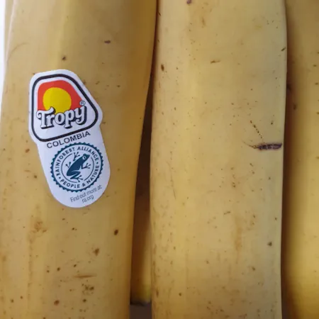 bananas 20260626_024352.webp