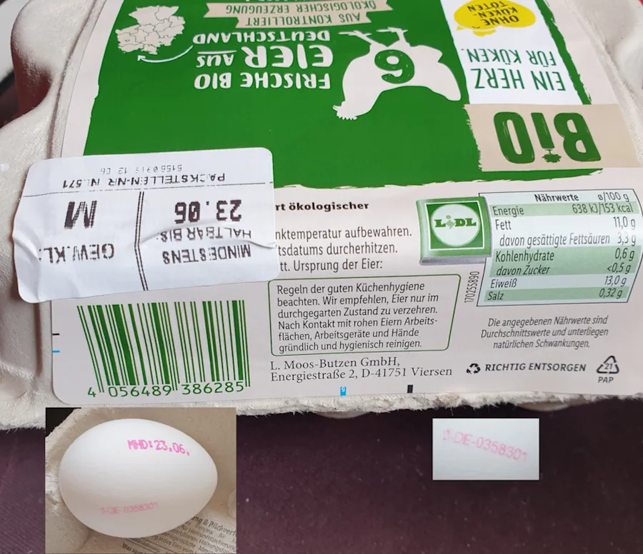 eggs 20260608_145813.webp