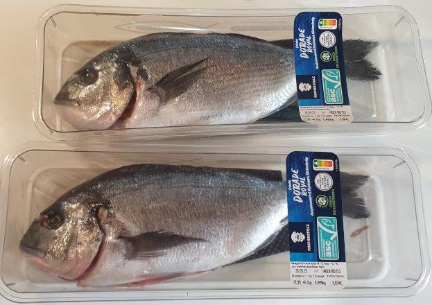 Dorade-Royal-Gilt-head-bream-Sparus.jpg