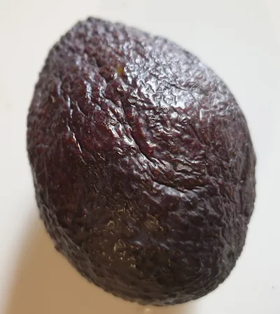 Avocado vorgereift 20260623_163413.webp