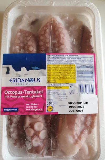 Octopus-Tentakel 20260608_131639b.webp