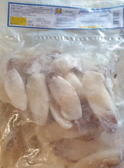 Tintenfisch 20260606_165445.webp