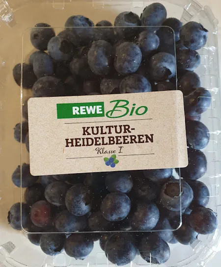 Blueberries 20260617_174253.webp