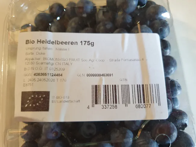 Blueberries 20260617_174307.webp