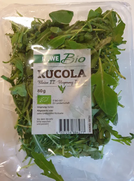 Rucola 20260728_140040.webp