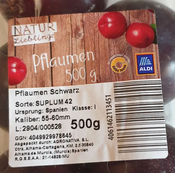 Pflaumen 20260727_124154.webp