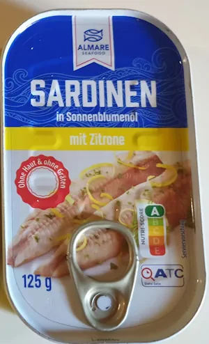 Sardi Son 20260806_122355.webp