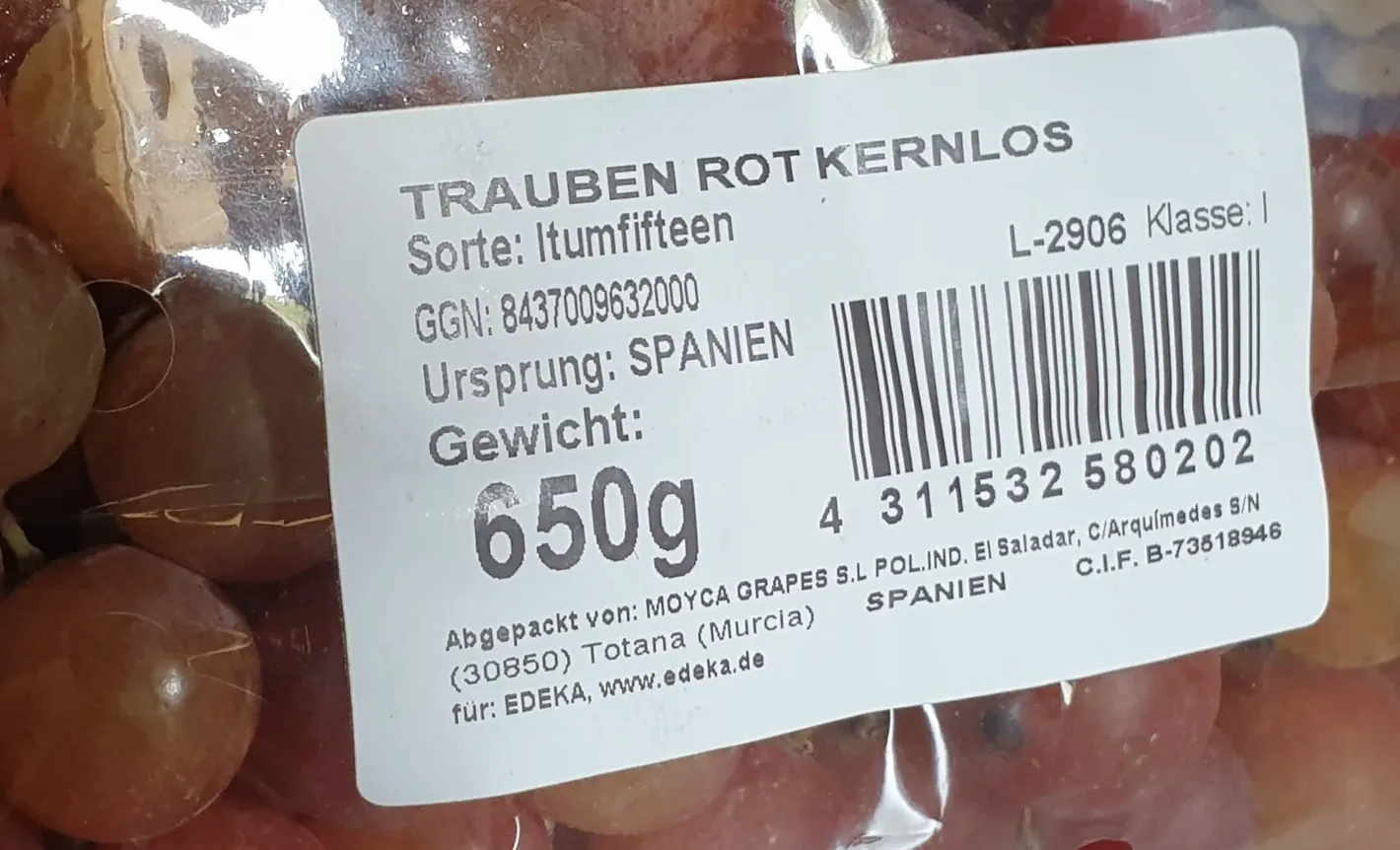 trauben 20260807_124358.webp