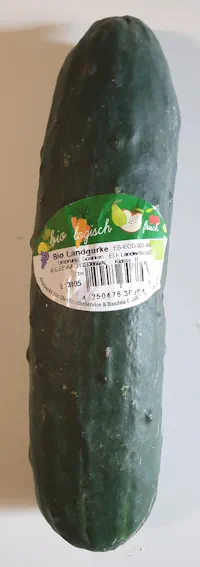 Cucumber 20260807_125617.webp
