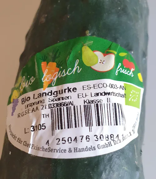 Cucumber 20260807_125623.webp
