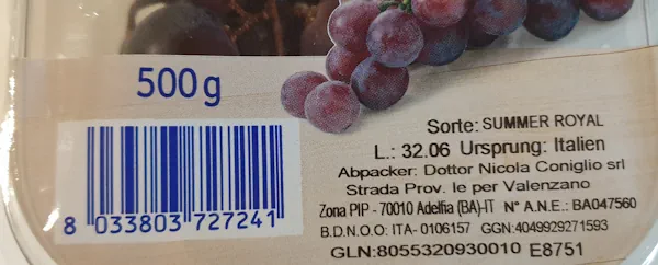 Trauben - Grapes2 20260818_162105.webp