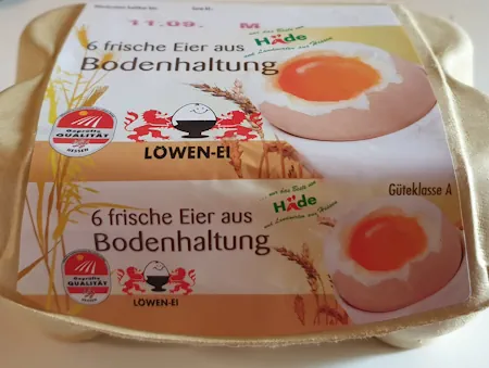 eggs 20260822_133254.webp
