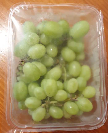 Grapes 20260831_115835.webp