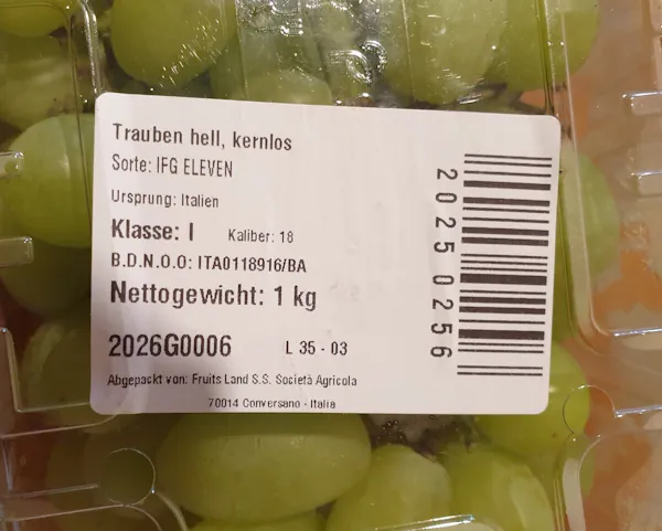 Grapes 20260831_115848.webp