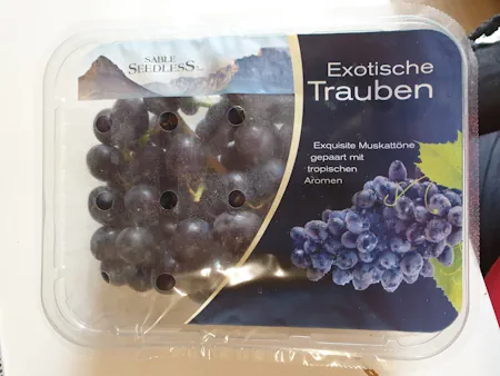 Trauben 20260909_115649.webp