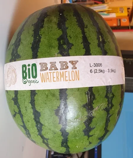 Bio Watermelon 20260730_103848.webp